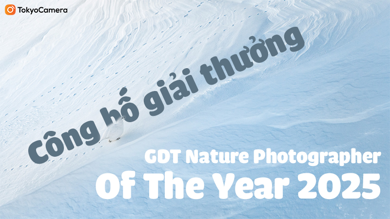 gdt nature photographer of the year 2025