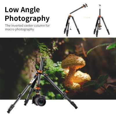 K&F Concept D254C1 Tripod
