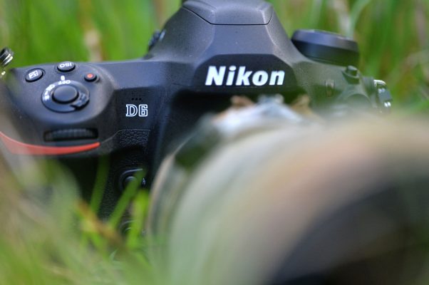 nikon ngừng sản xuất d6