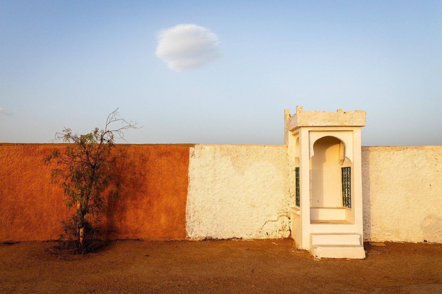 2025 Color Photography Contest