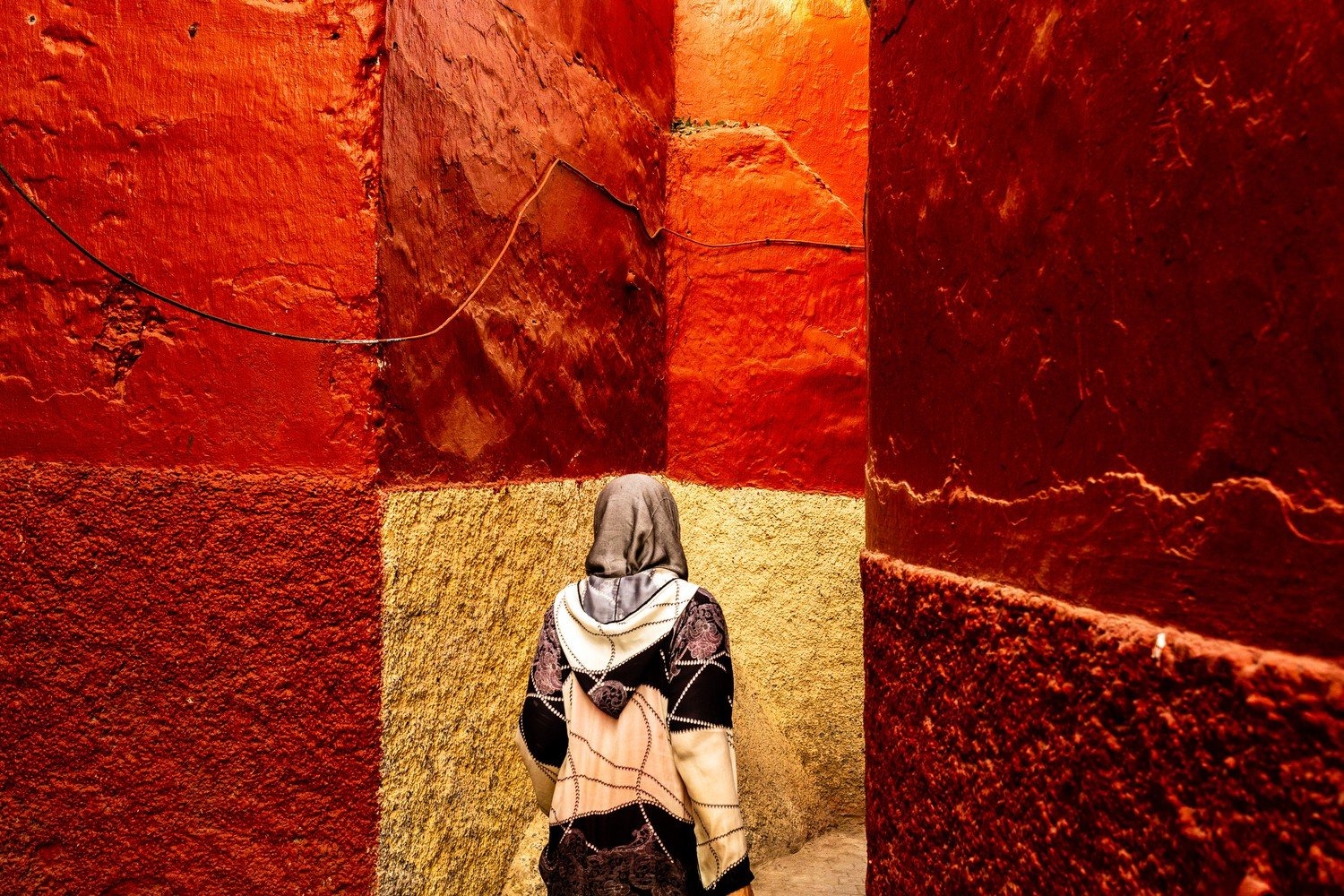 2025 Color Photography Contest