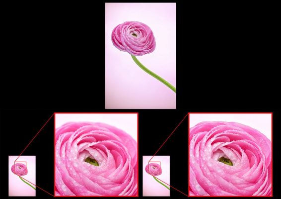 firmware 3.0 trên nikon z8