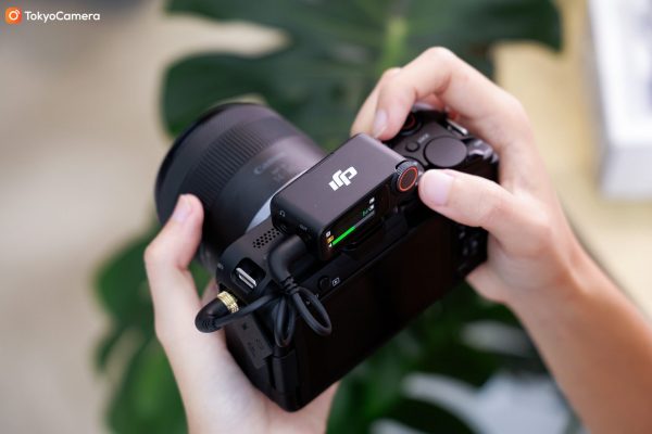 DJI Mic 3 (2TX+1RX+Charging Case) có thể kết nối với đa dạng thiết bị