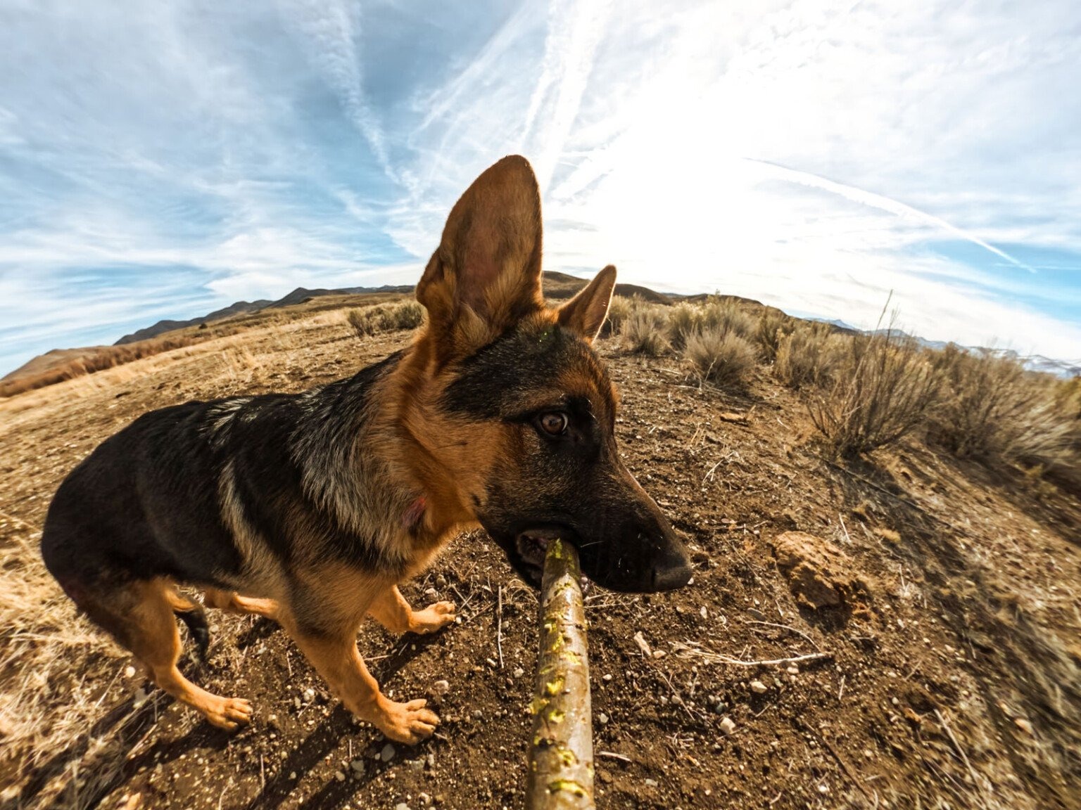 ra mắt gopro max 2