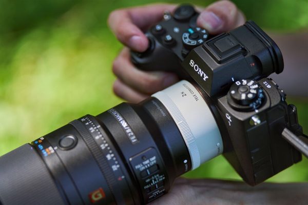 Sony FE 100mm f/2.8 Macro GM (Sony E)
