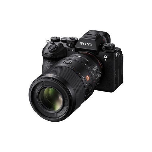 Sony FE 100mm f/2.8 Macro GM OSS (Sony E) - Ảnh 5