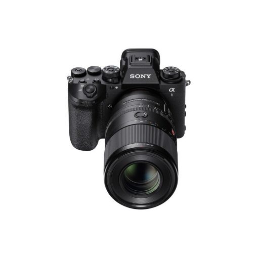 Sony FE 100mm f/2.8 Macro GM OSS (Sony E) - Ảnh 4