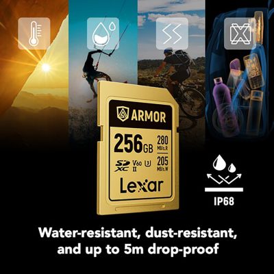 Thẻ nhớ Lexar 256GB ARMOR GOLD PRO UHS-II SDXC Card V60