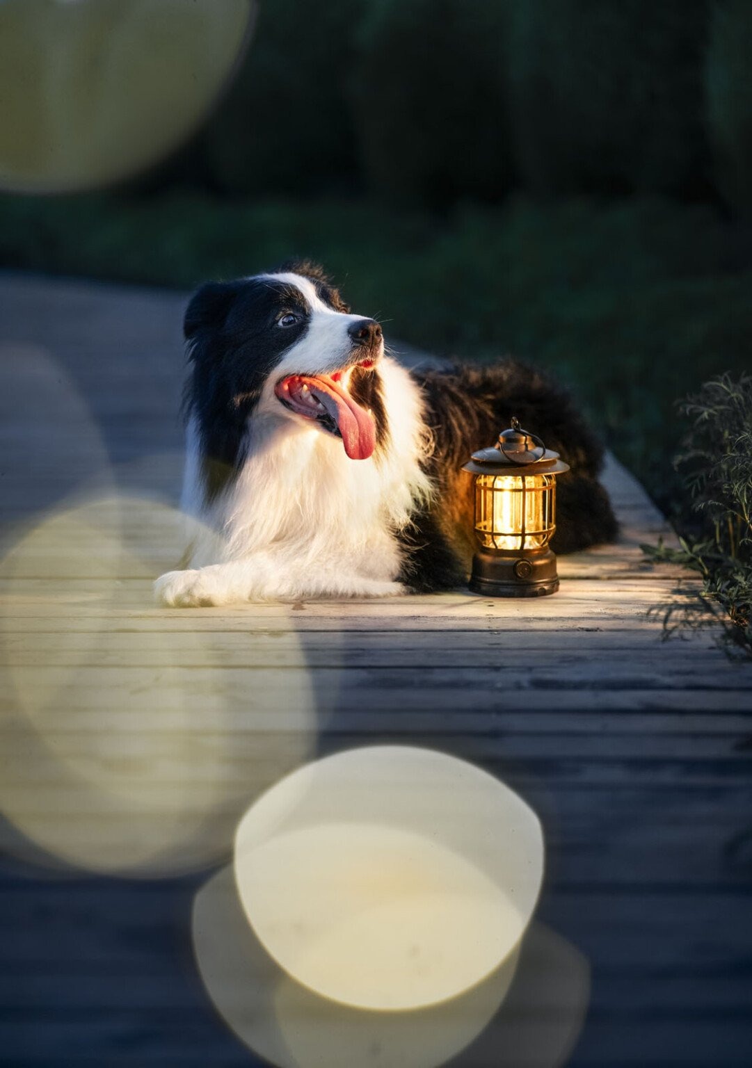 Viltrox 85mm f/2 Evo ngàm Nikon Z