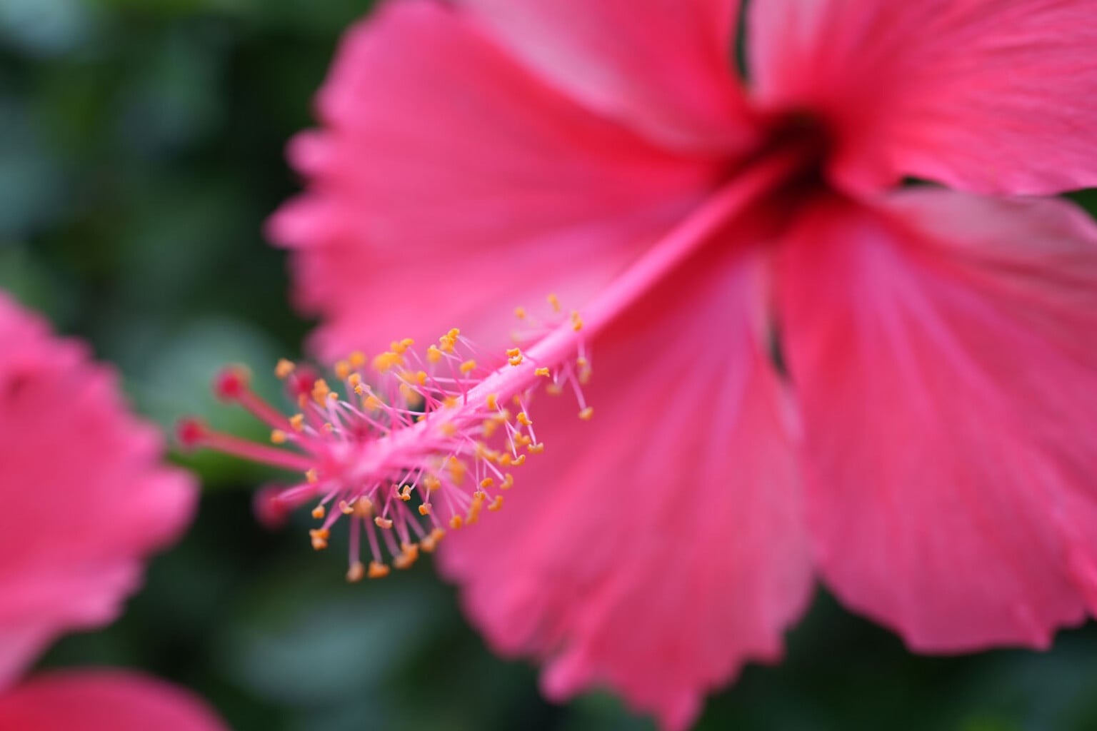 ra mắt Laowa 35mm f/2.8 Zero-D Tilt-Shift