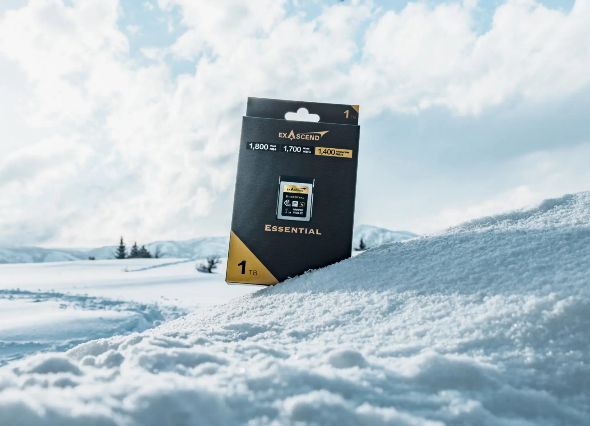 Thẻ Nhớ Exascend Essential 1TB CFexpress Type B - Ảnh 4