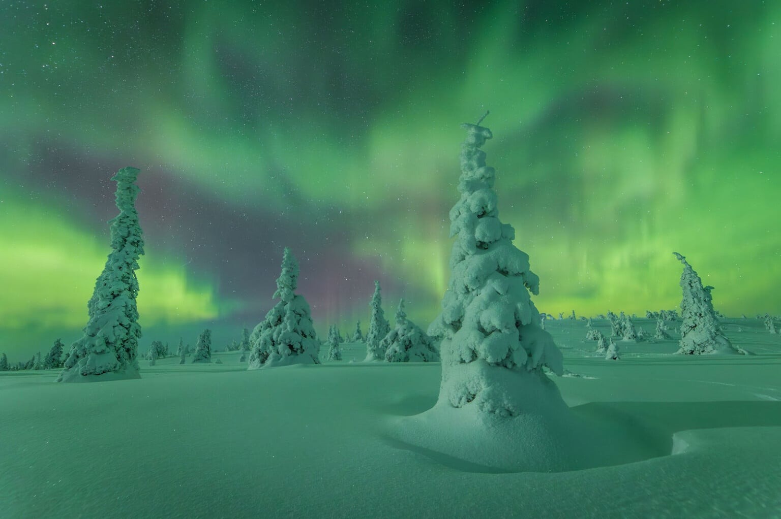 Northern Lights Photographer of the Year 2025