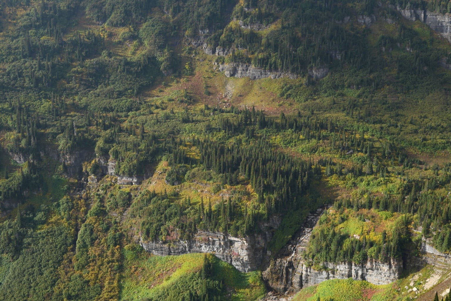 ra mắt Sony FE 28-70mm f/3.5-5.6 OSS II