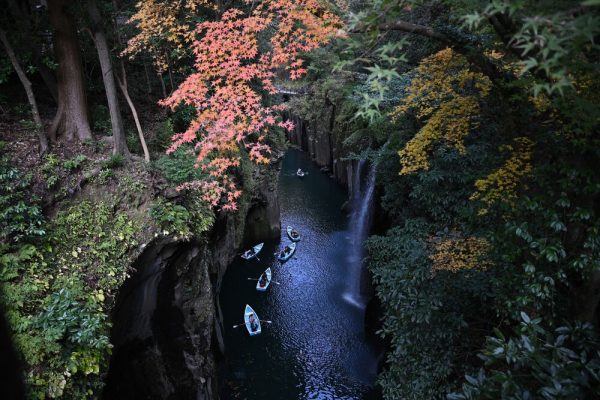 Nikon Z 24-105mm f/4-7.1