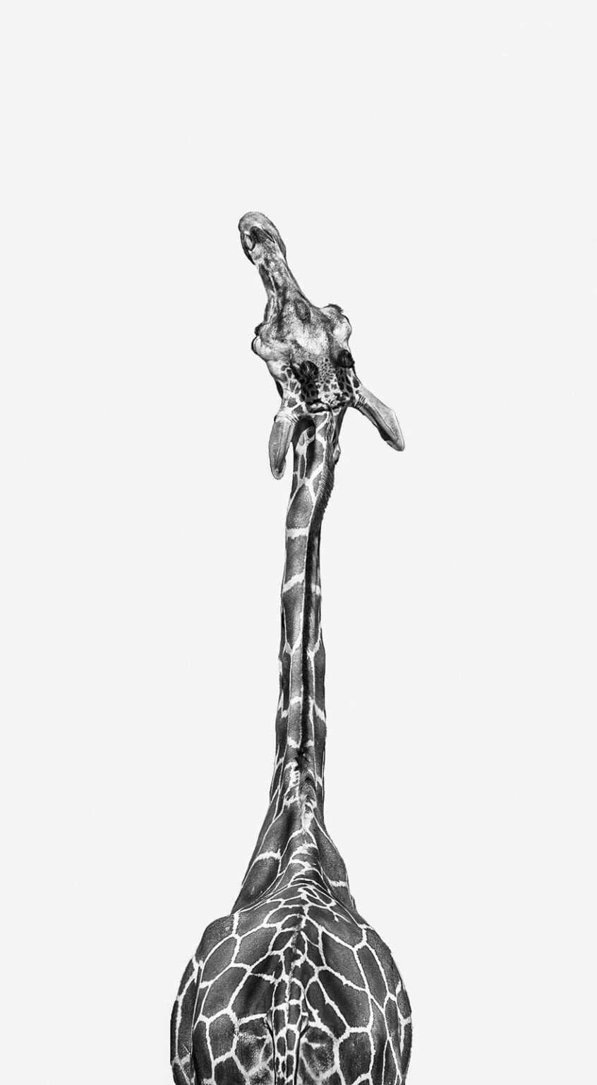 Photographers’ Photographer of the Year 2025