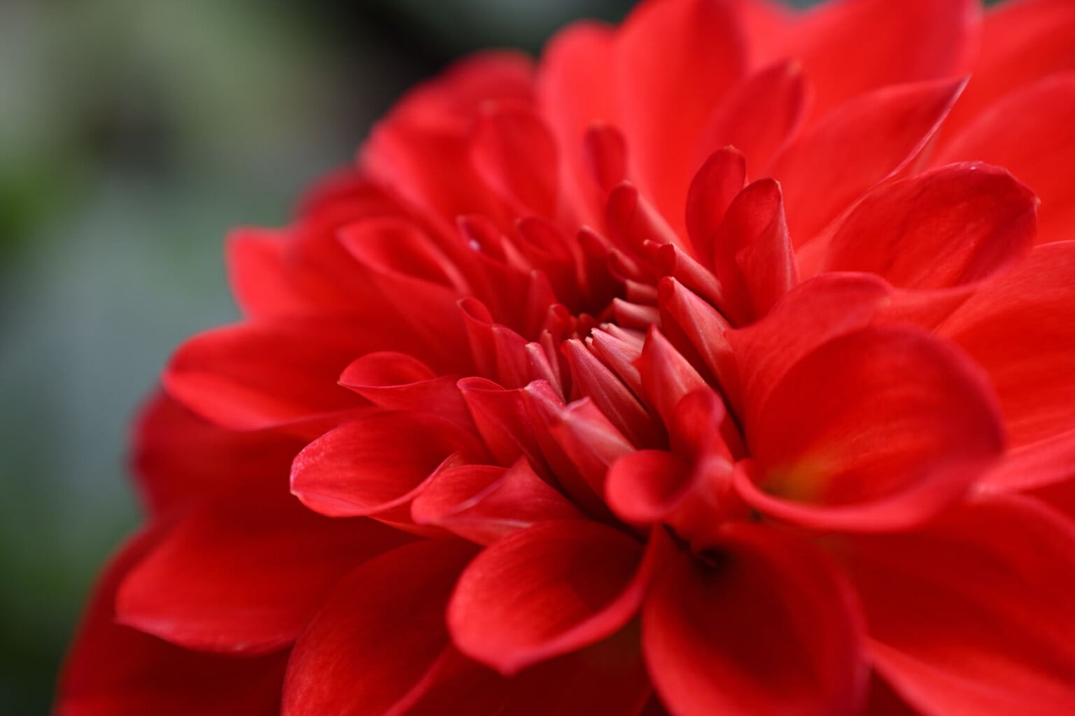 Ra Mắt Nikon 24-105mm f/4-7.1