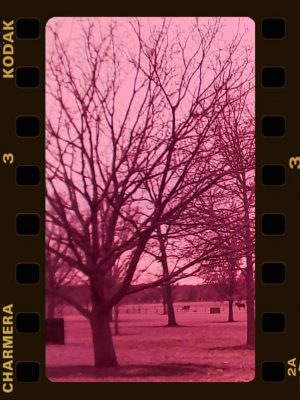 lắp lens trên Kodak Charmera