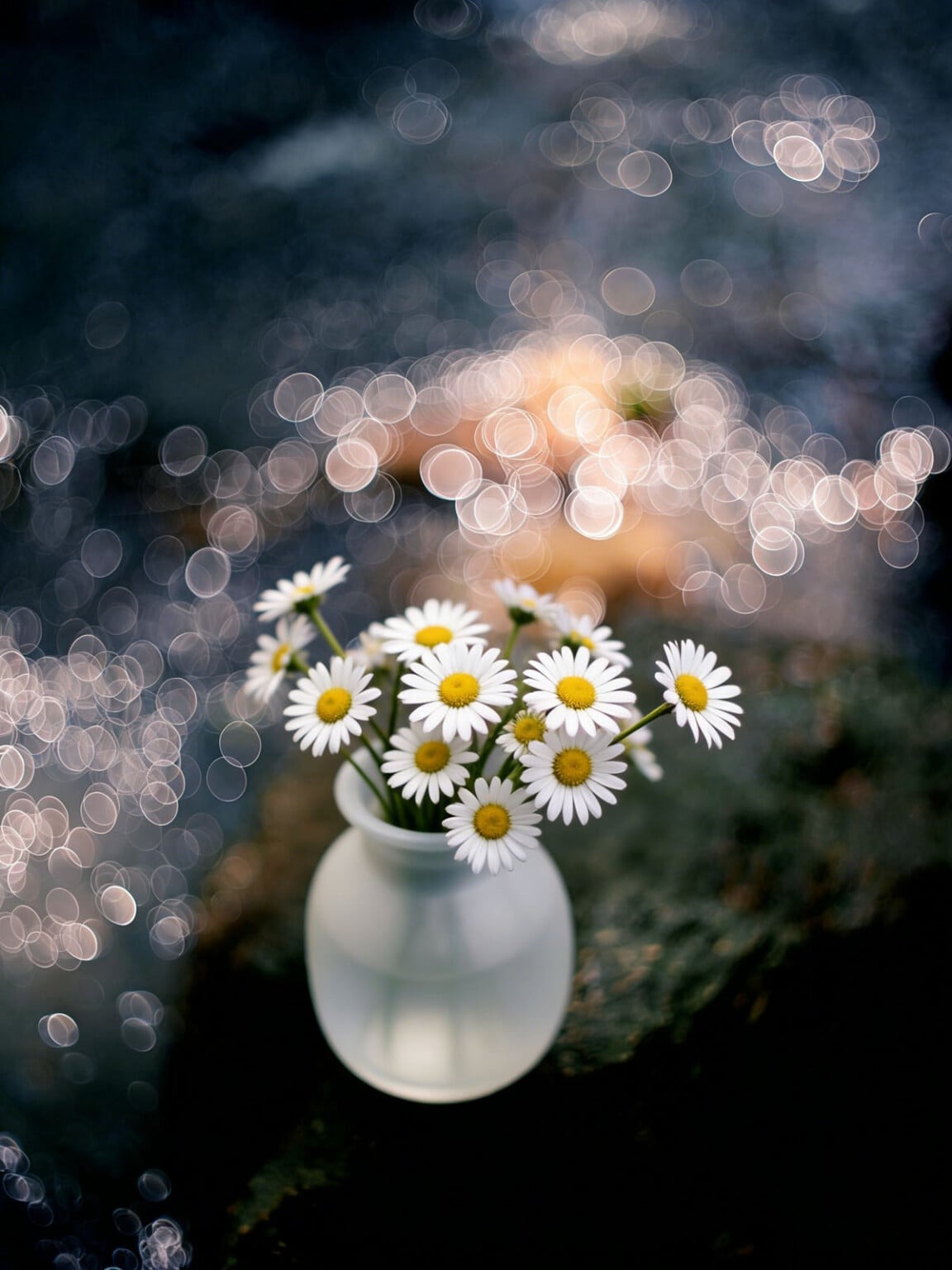 Brightin Star Tri-Sight 50mm f/2