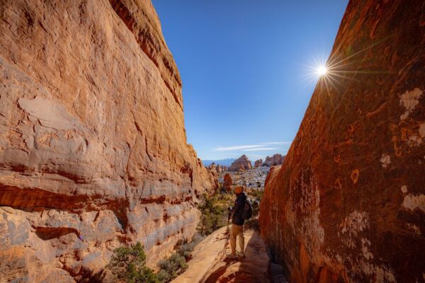 Canon RF 14mm f/1.4L