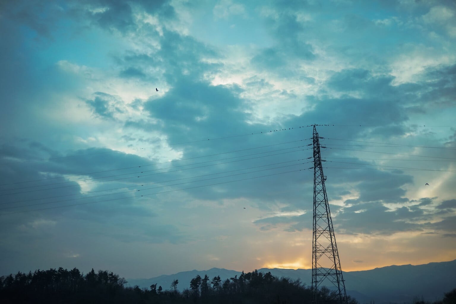 Voigtländer 40mm f/2 ngàm E và Z