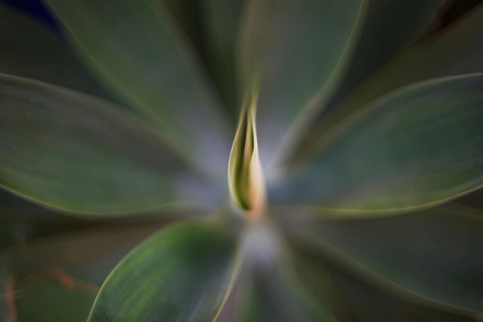 Voigtländer Nokton Classic 35mm f/1.4 ngàm canon rf