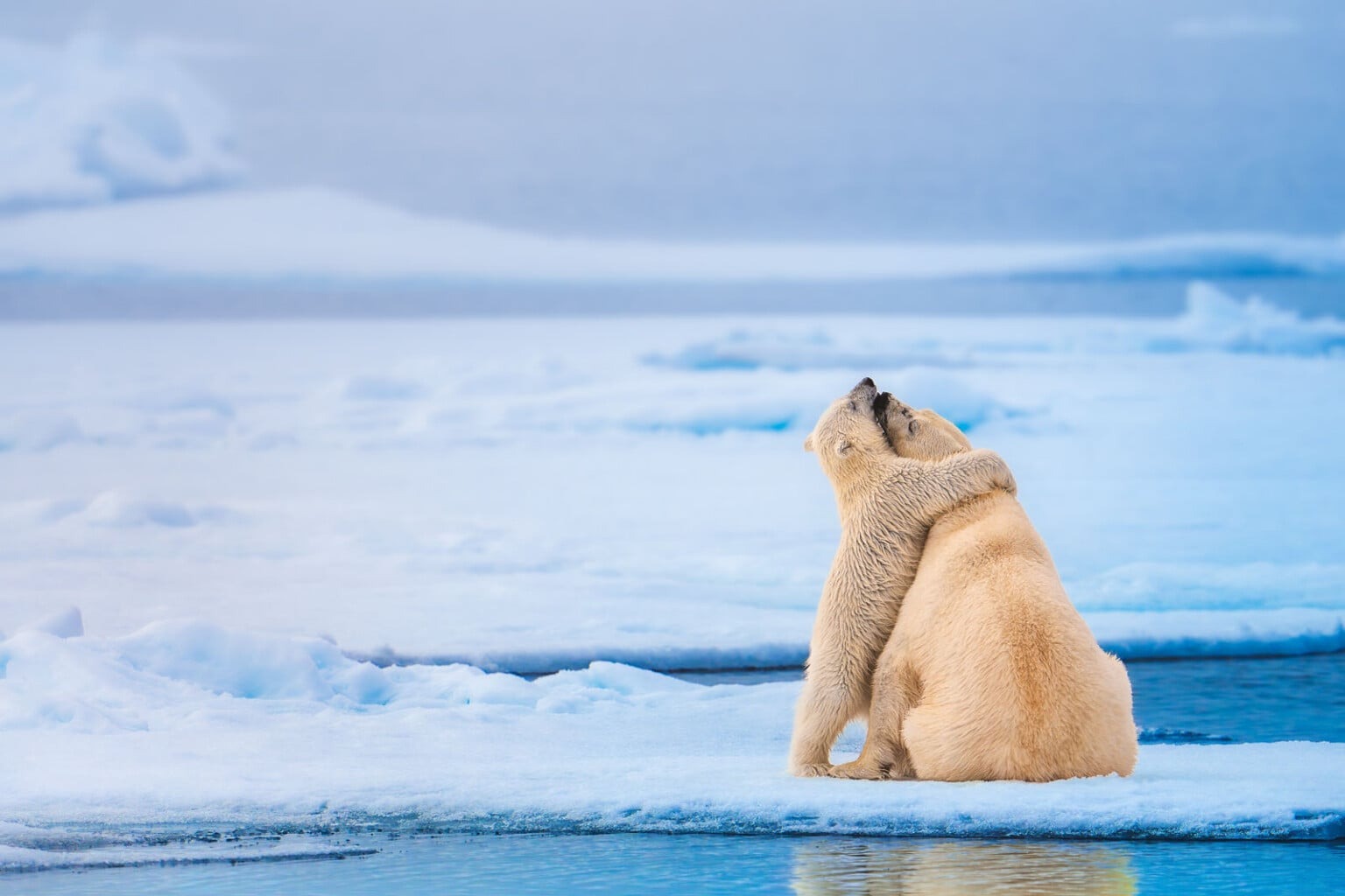 World Nature Photography Awards