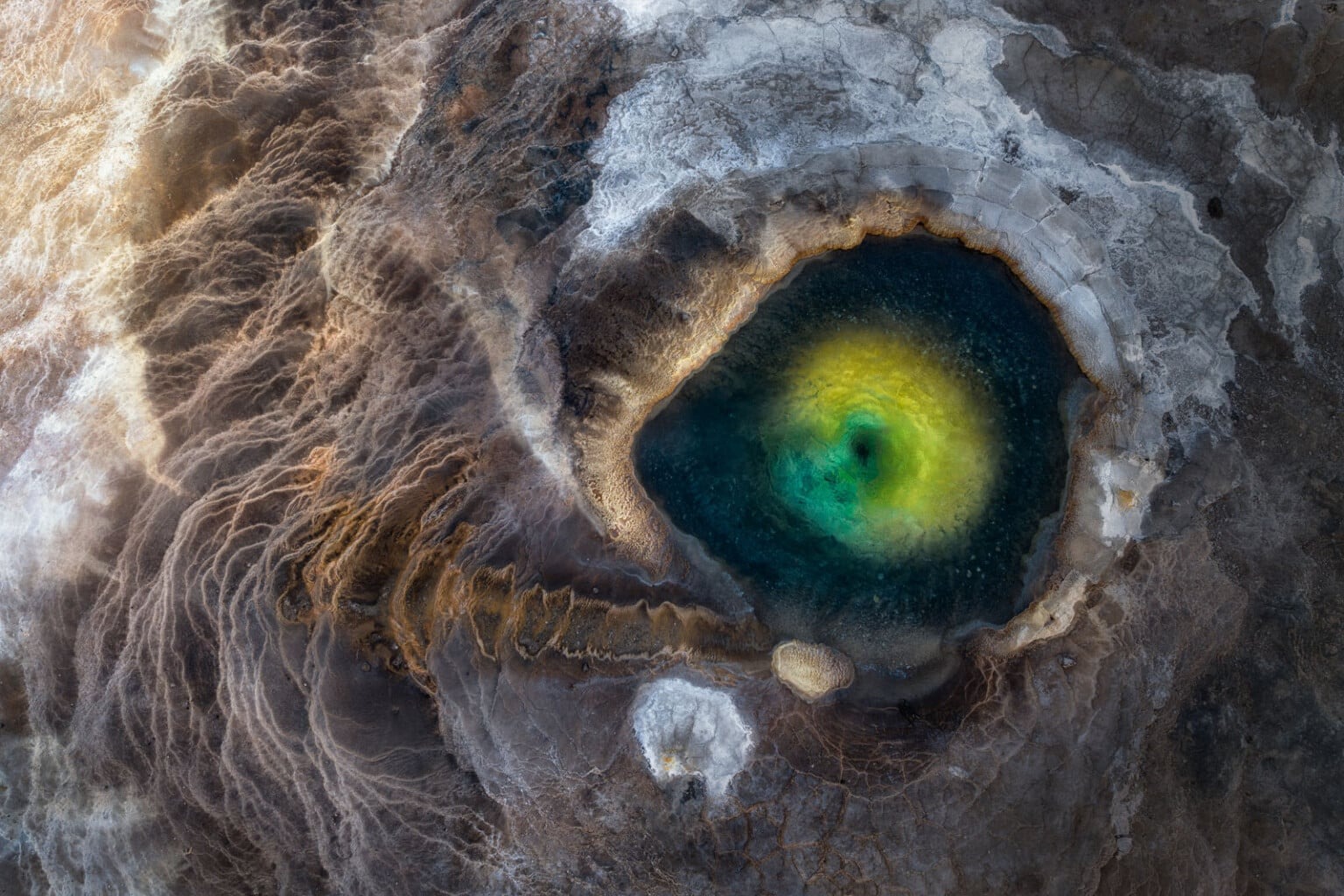 World Nature Photography Awards