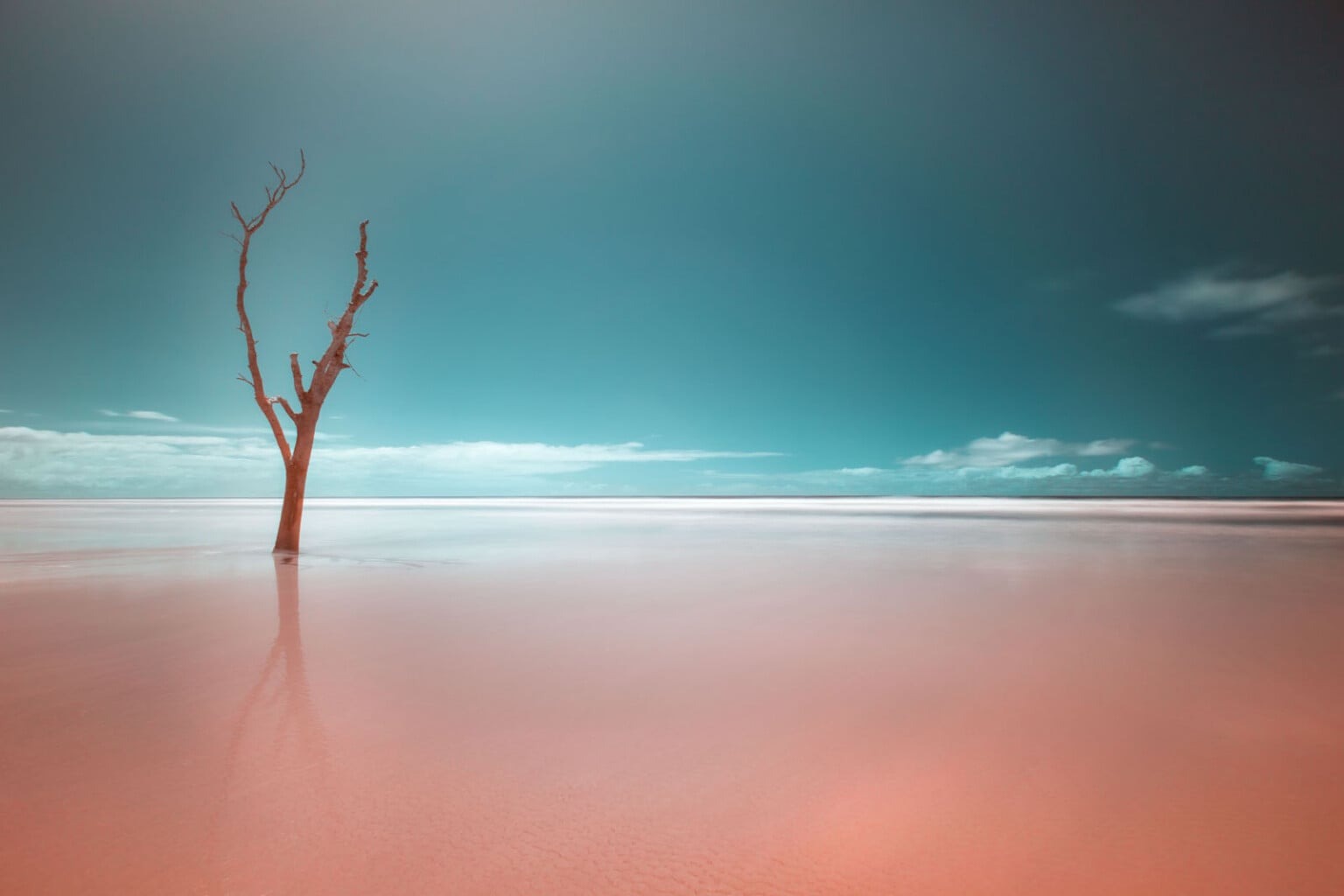 World Nature Photography Awards