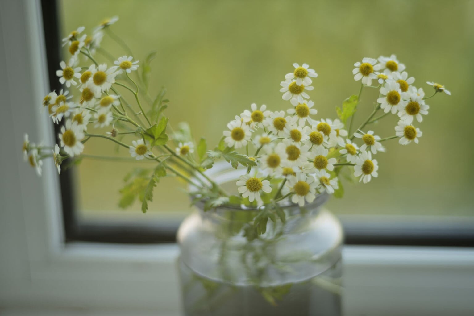 ra mắt Light Lens Lab 75mm f/2 SP-II