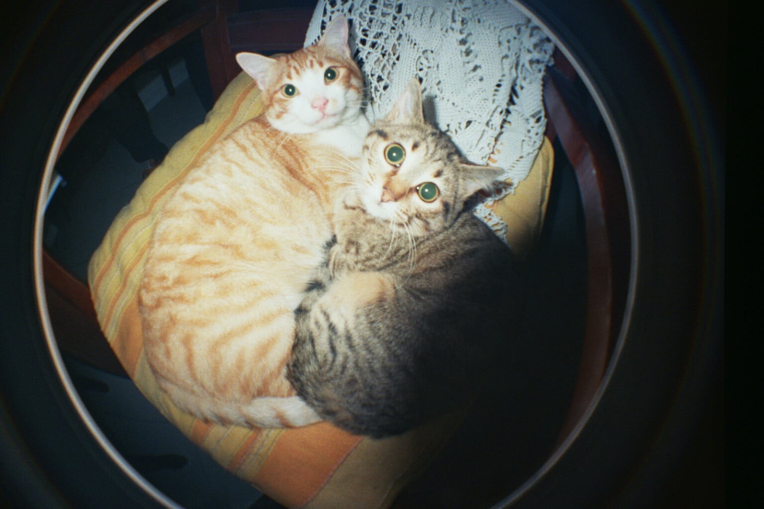 Lomography Fisheye No. 2 Rodeo Denim