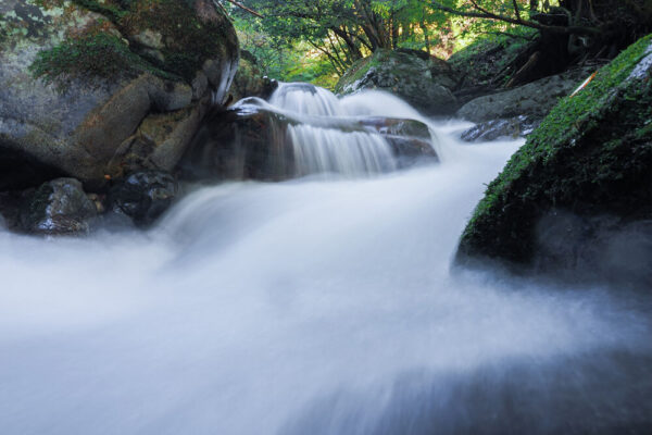 OM SYSTEM OM-5 Mark II