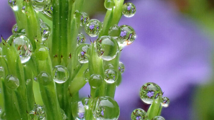 OM SYSTEM Tough TG-7