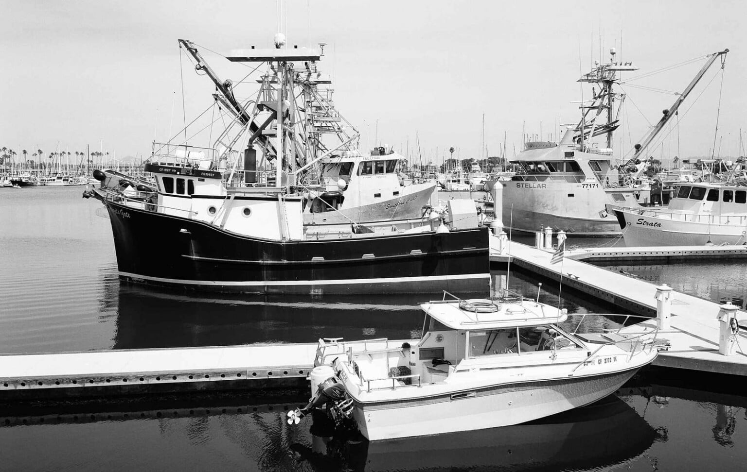 dòng phim kodak Ektapan