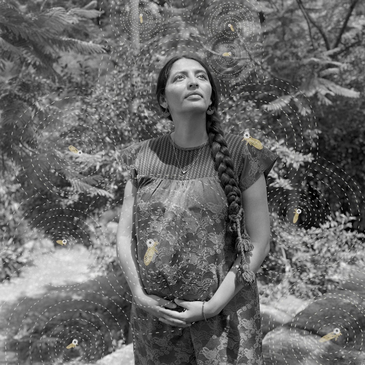 Sony World Photography Awards 2026