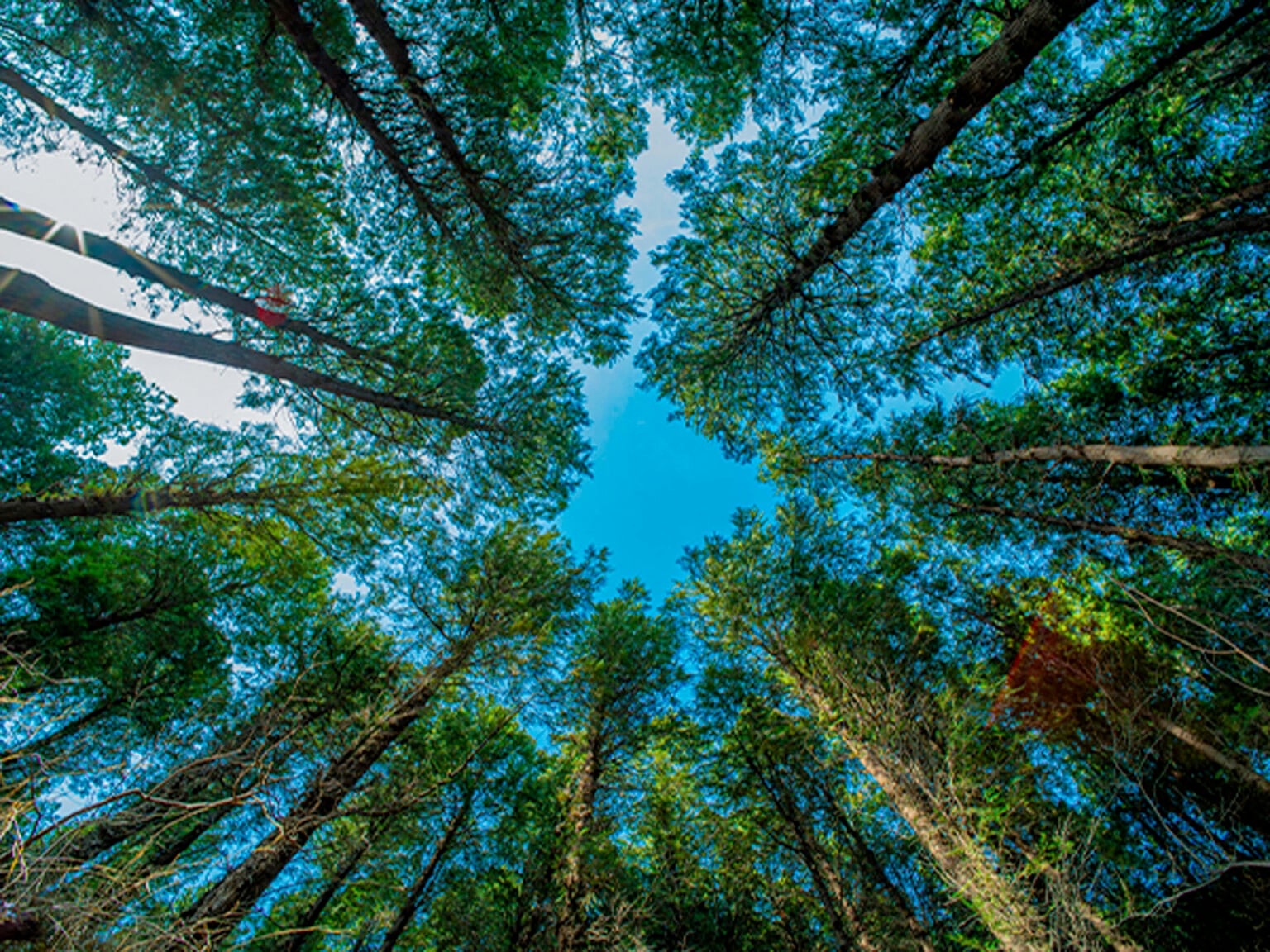 ra mắt Brightin Star 11mm f/2.8 II