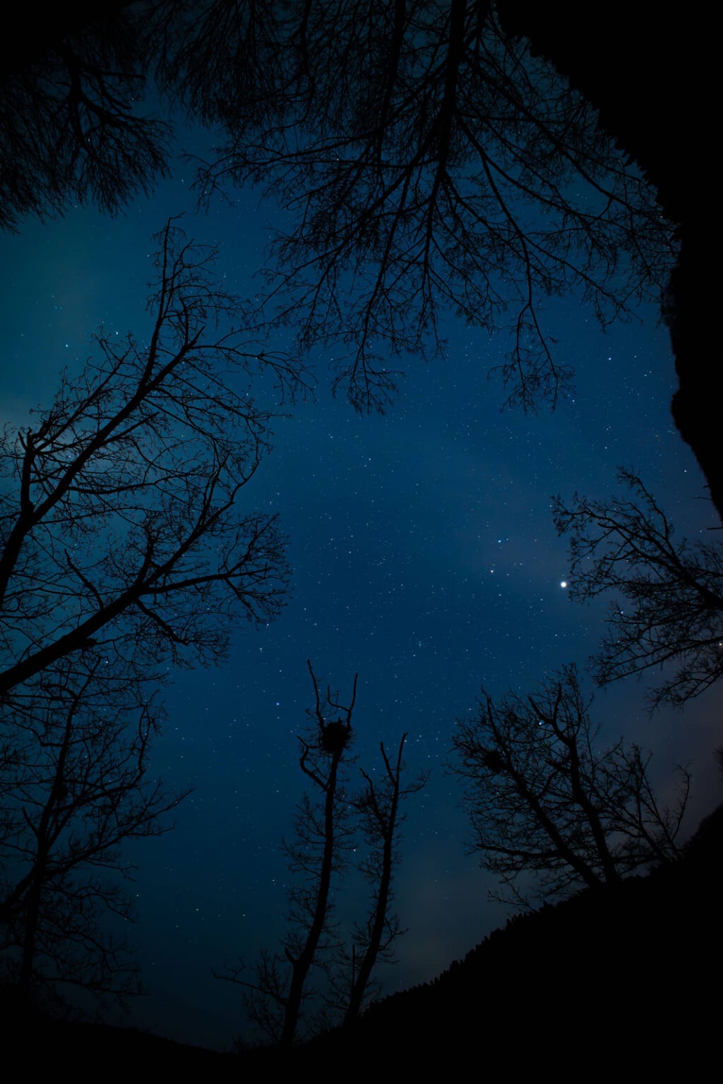 ra mắt Brightin Star 11mm f/2.8 II