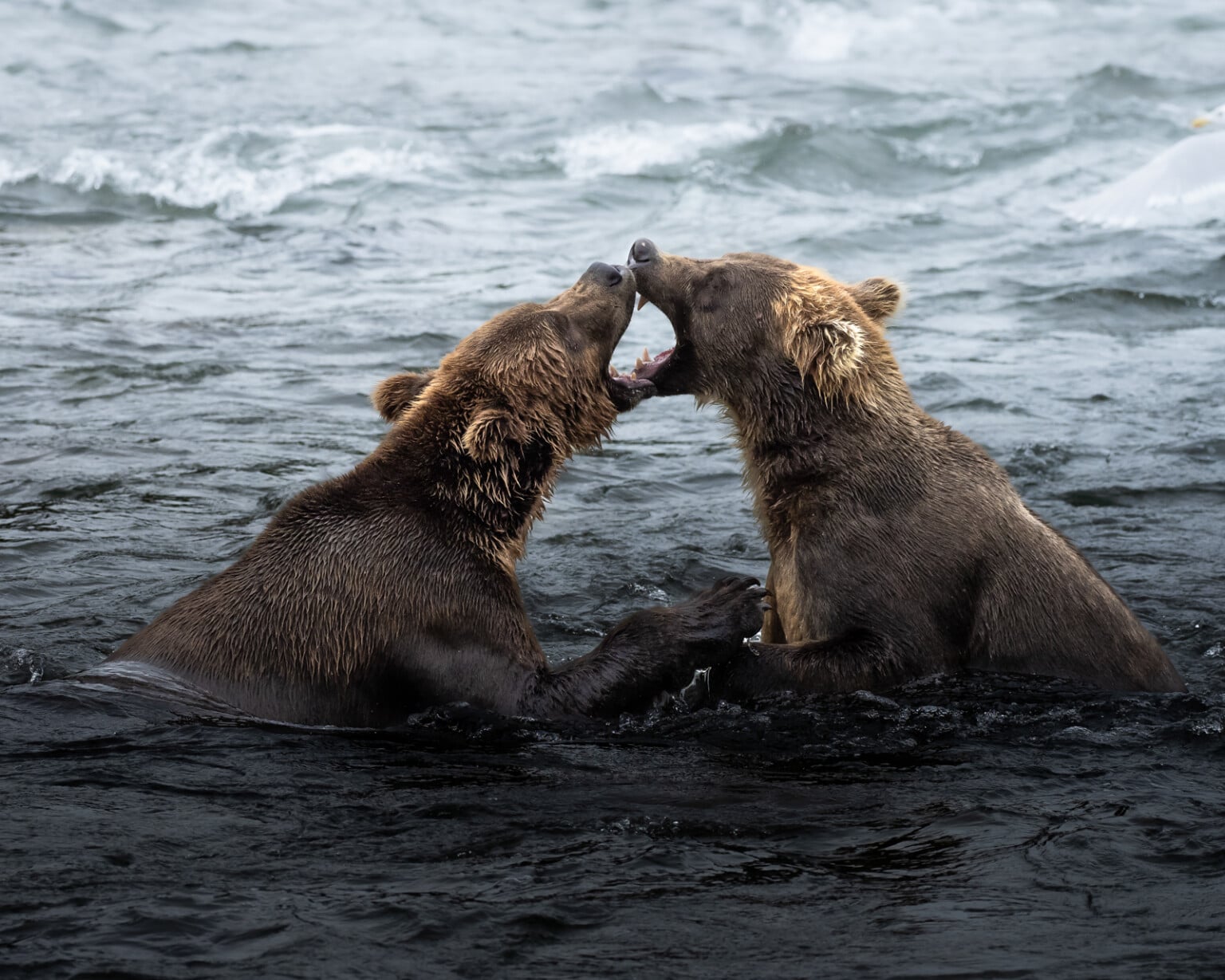 tips chụp ảnh với máy ảnh OM System