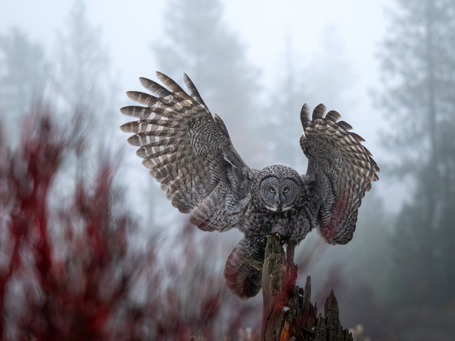 tips chụp ảnh với máy ảnh OM System