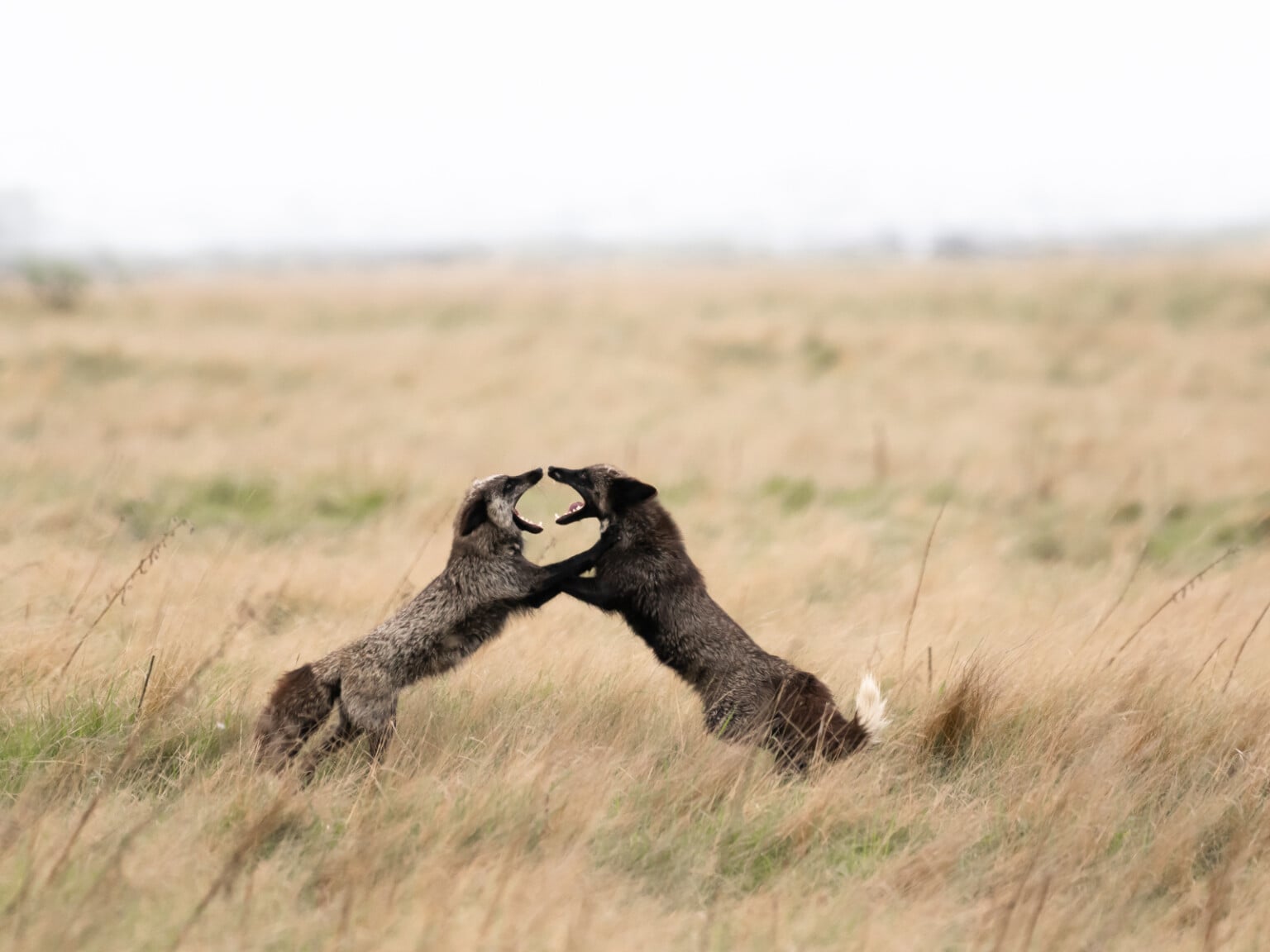 tips chụp ảnh với máy ảnh OM System