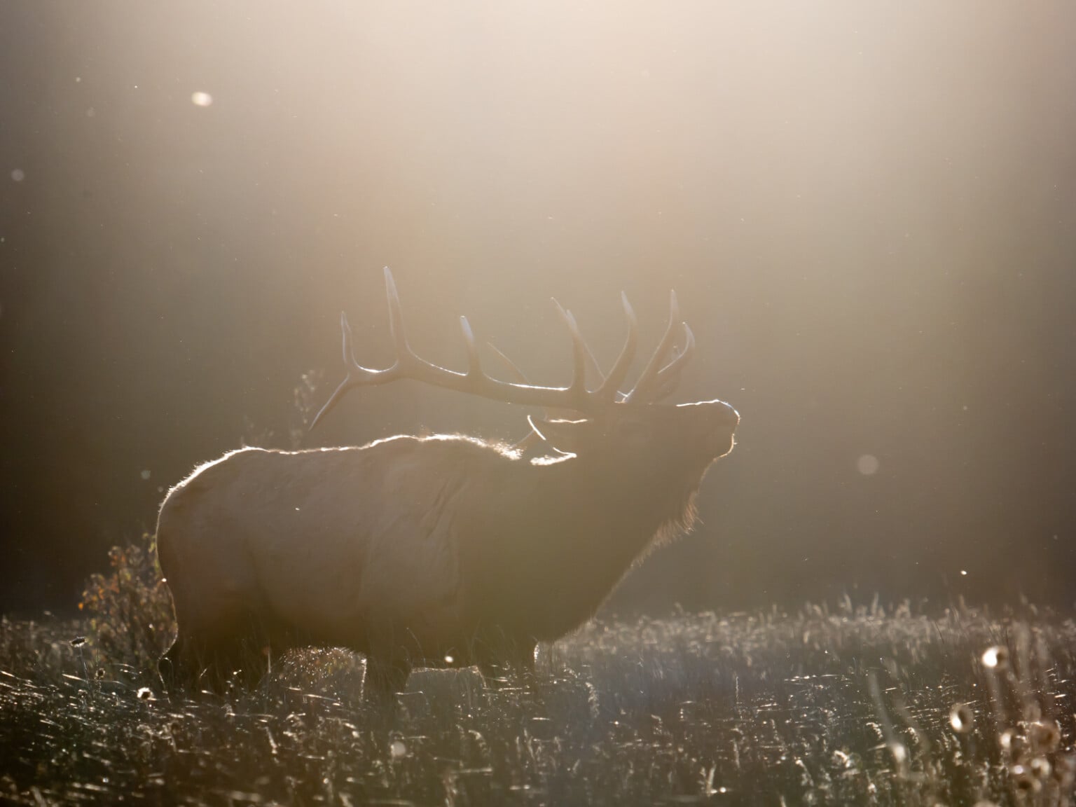 tips chụp ảnh với máy ảnh OM System