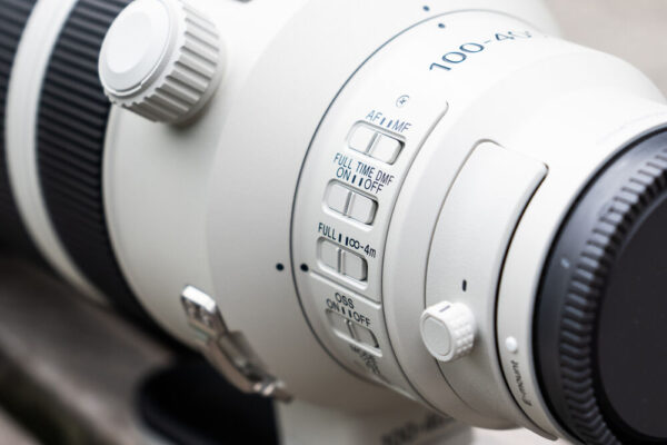 Sony FE 100-400mm f/4.5 GM OSS (Sony E)