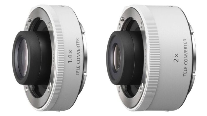 Sony FE 100-400mm f/4.5 GM OSS (Sony E)