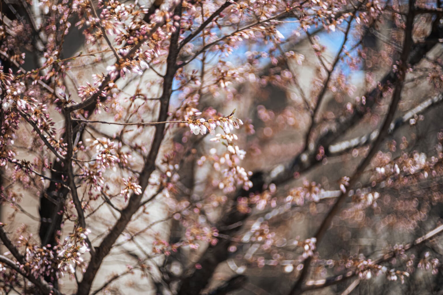 ra mắt Light Lens Lab 75mm f/1.5 'Z21'