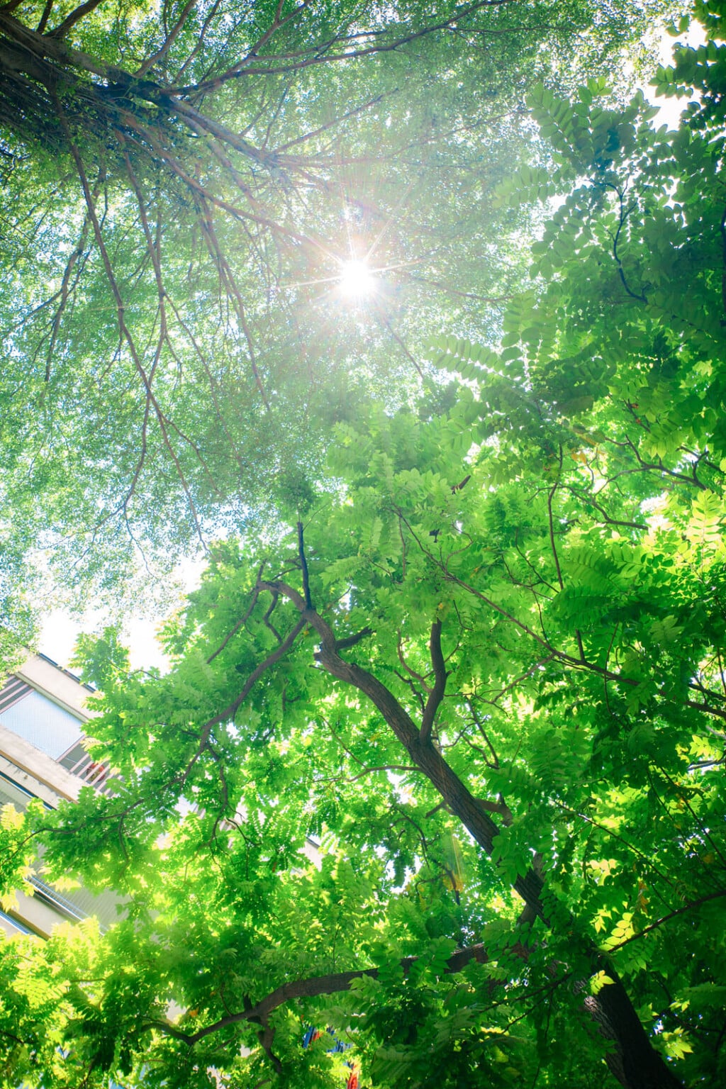 ra mắt Viltrox 28mm f/4.5 L