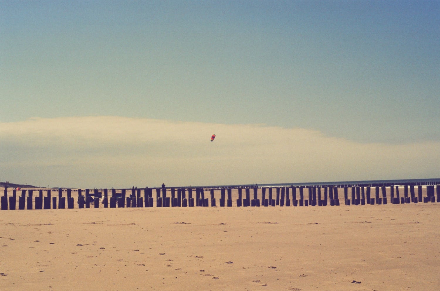 ra mắt Kono 35mm C-41