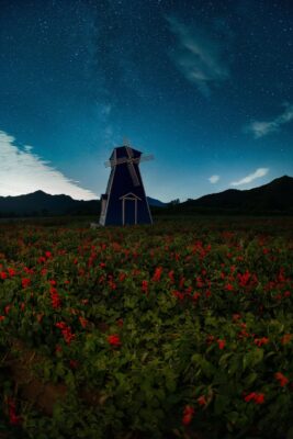 ra mắt 7Artisans 10mm f/2.5 AF Max Fisheye