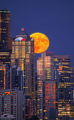 Astronomy Photographer of the Year