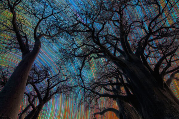 Astronomy Photographer of the Year