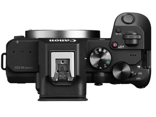 Ra Mắt Canon EOS R8 II
