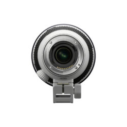 Sony FE 400mm f/4.5 GM OSS (Sony E) - Ảnh 10